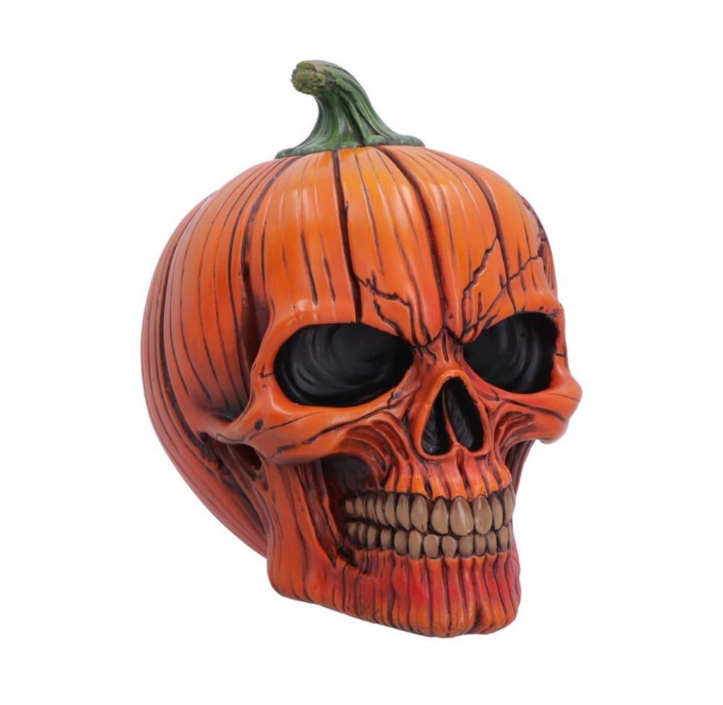 Hall of Horrors: Spirit Of Halloween Pumpkin Skull 17.5cm
