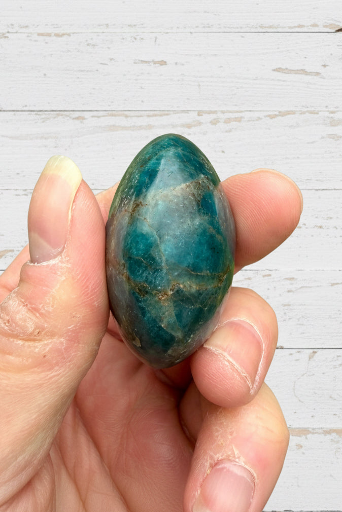 Blue Apatite Palmstone 80 grams NBAP10