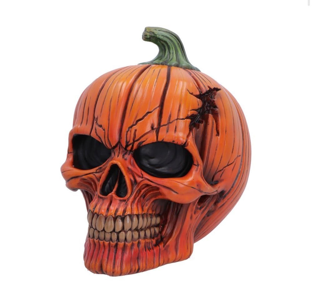Hall of Horrors: Spirit Of Halloween Pumpkin Skull 17.5cm