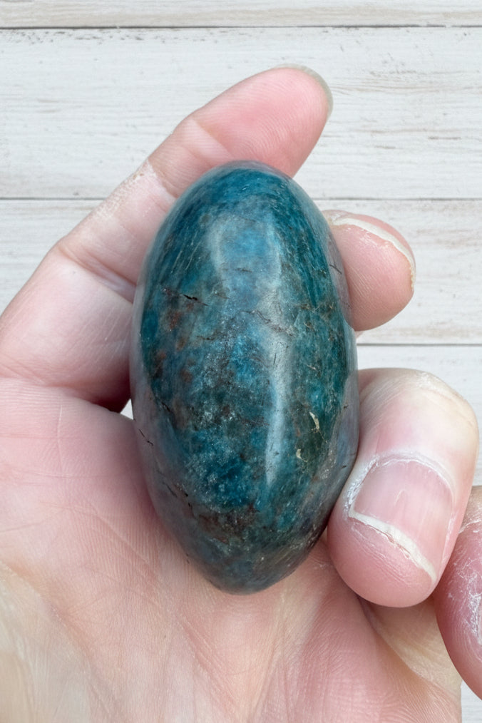 Blue Apatite Palmstone 98 grams NBAP06