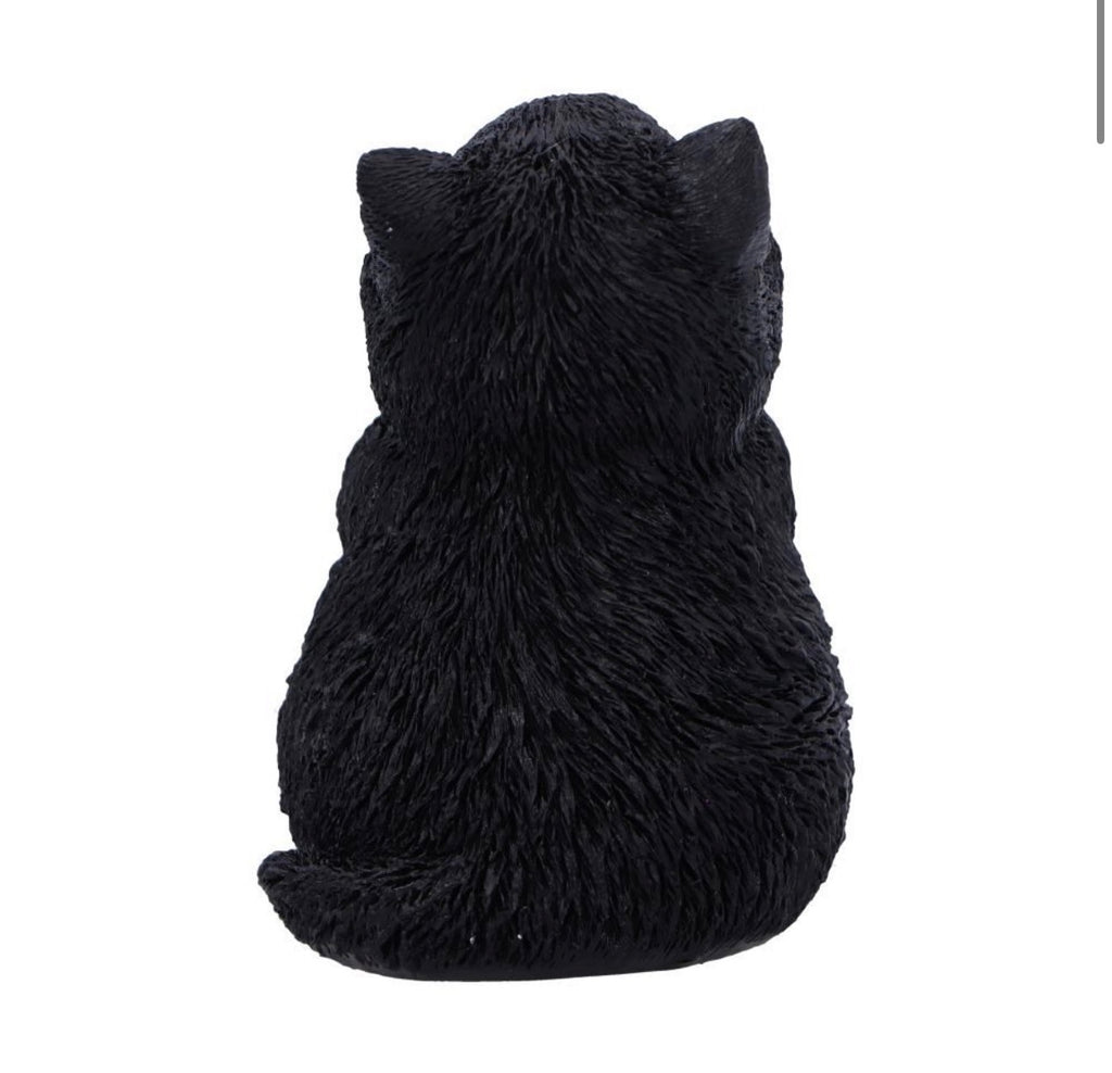Whisker Wish Praying Black Cat Ornament 8.5cm