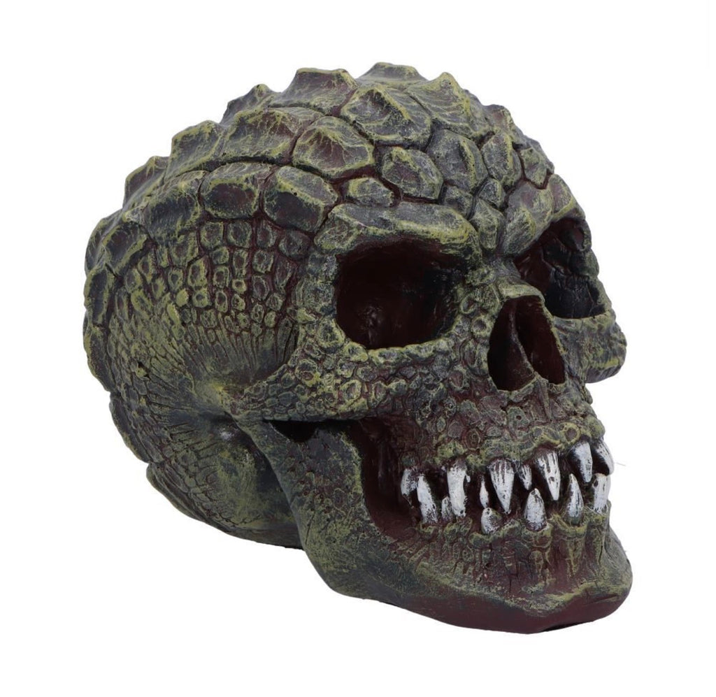 Reptilian Skull 17cm