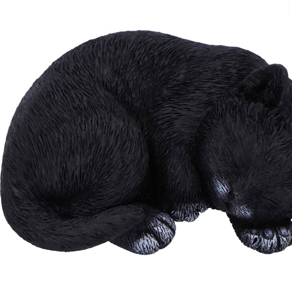 Feline Dream Sleeping Black Cat Ornament 11.5cm
