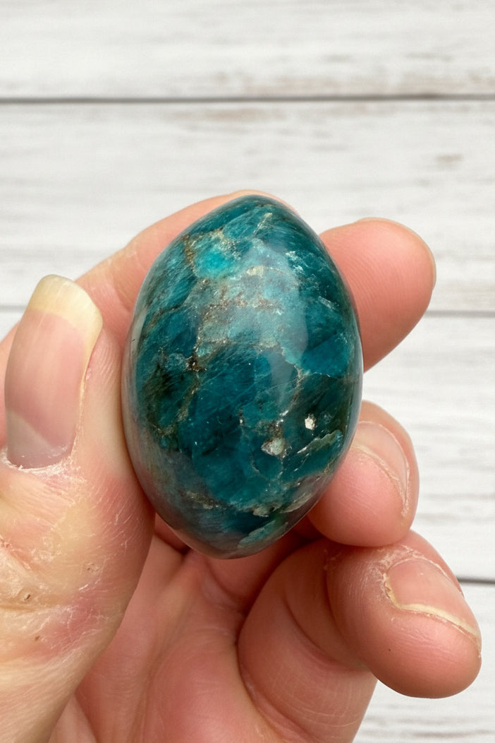 Blue Apatite Palmstone 78 grams NBAP11
