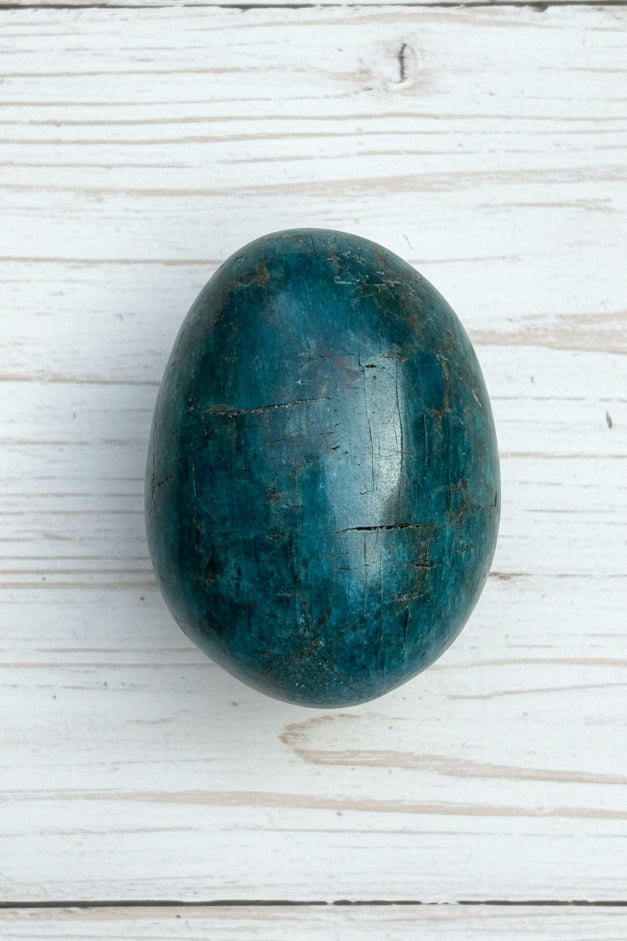 Blue Apatite Palmstone 98 grams NBAP06
