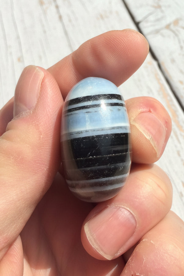 Owyhee Blue Opal Palmstone 63 grams BOP06