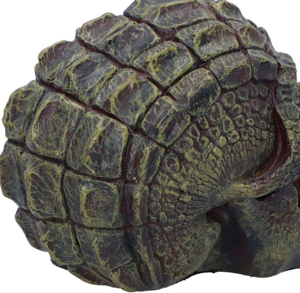Reptilian Skull 17cm