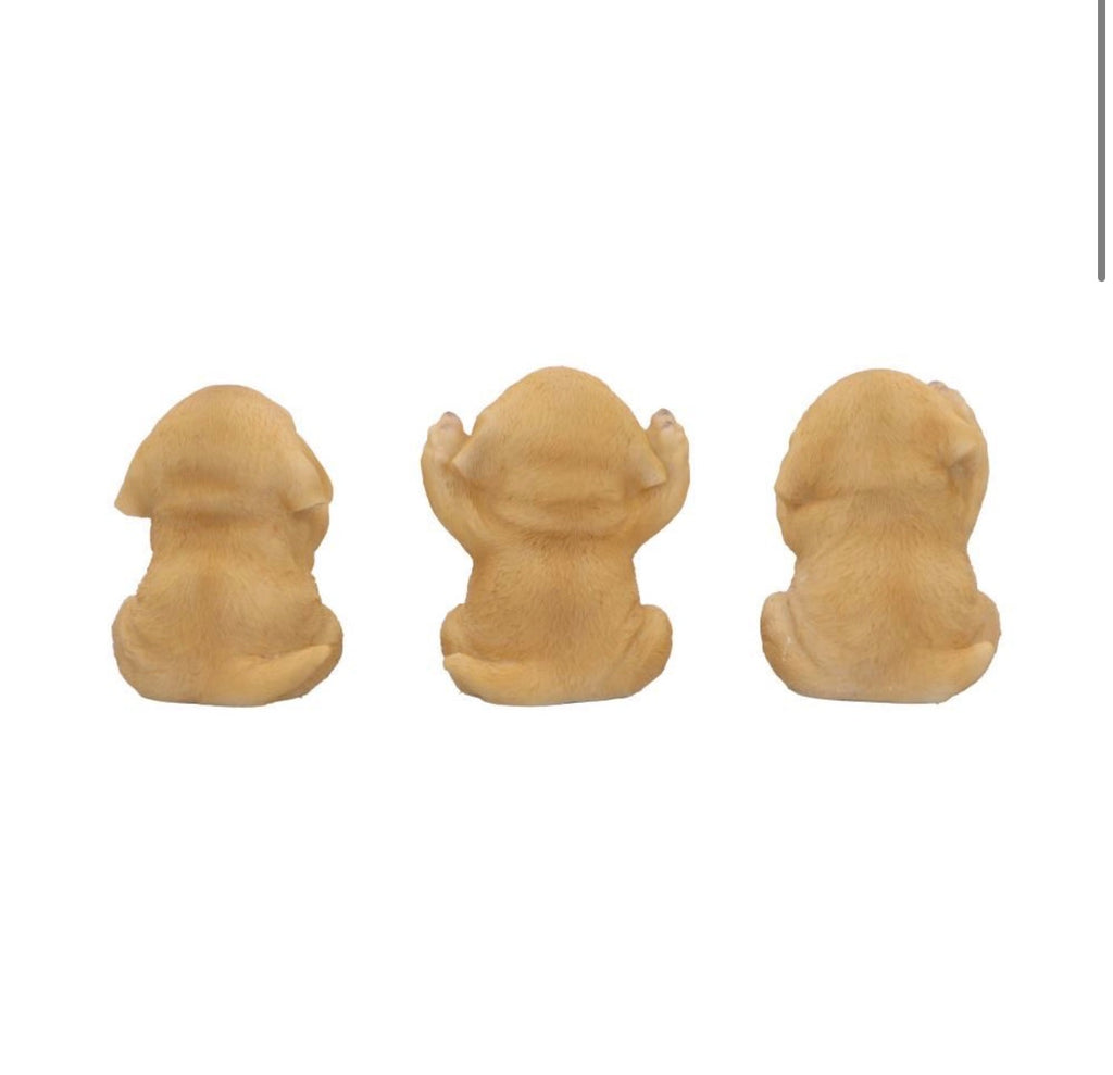 Three Wise Golden Labradors See No Evil Set 7.5cm
