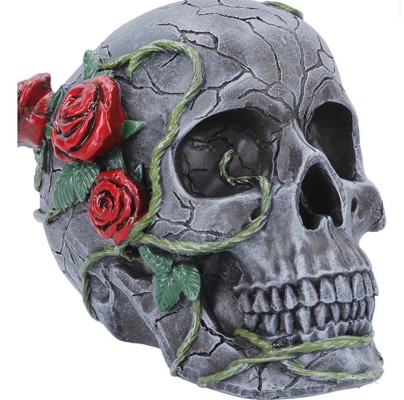 Twilight Bloom Skull with Roses 15.6cm
