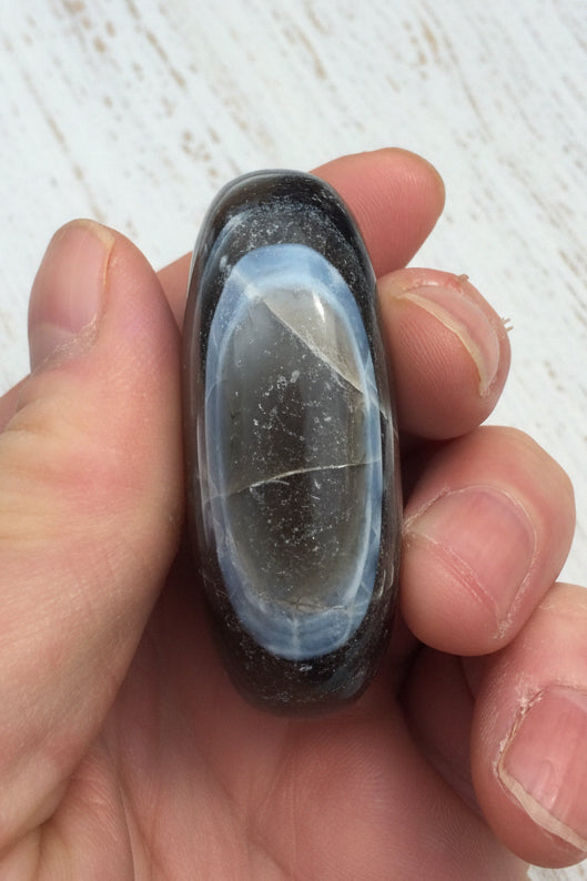 Owyhee Blue Opal Palmstone 74 grams BOP09