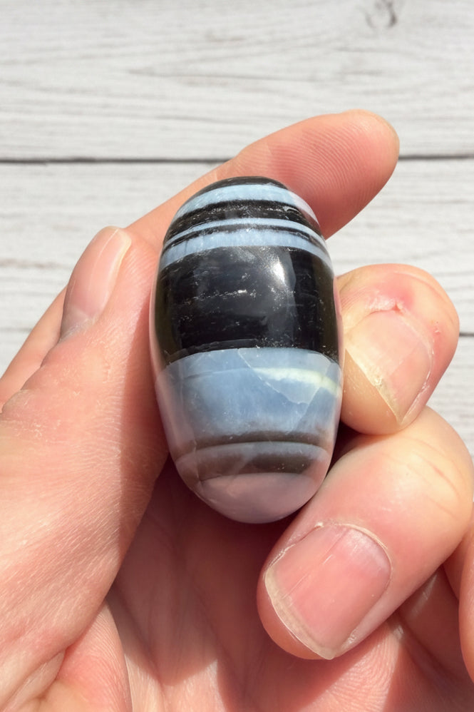 Owyhee Blue Opal Palmstone 83 grams BOP04