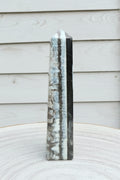 Owyhee Blue Opal Tower 107 grams BOT09