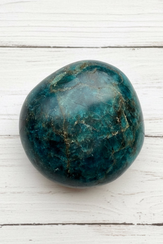 Blue Apatite Palmstone 83 grams NBAP09