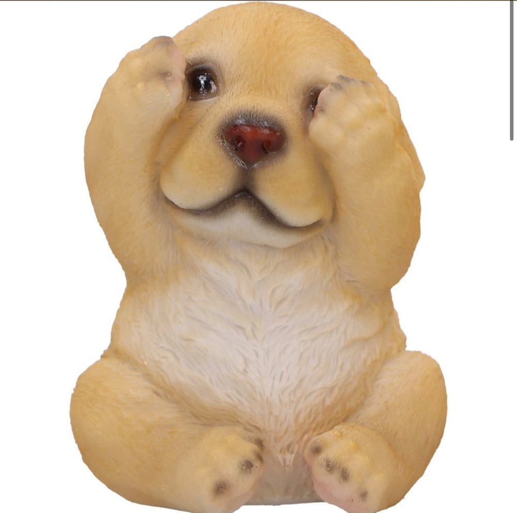 Three Wise Golden Labradors See No Evil Set 7.5cm