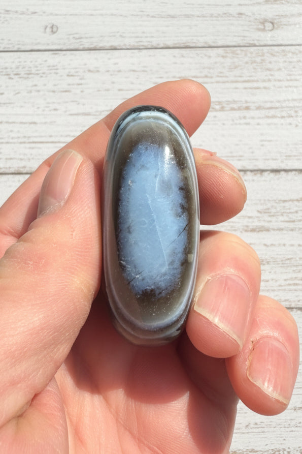Owyhee Blue Opal Palmstone 63 grams BOP06