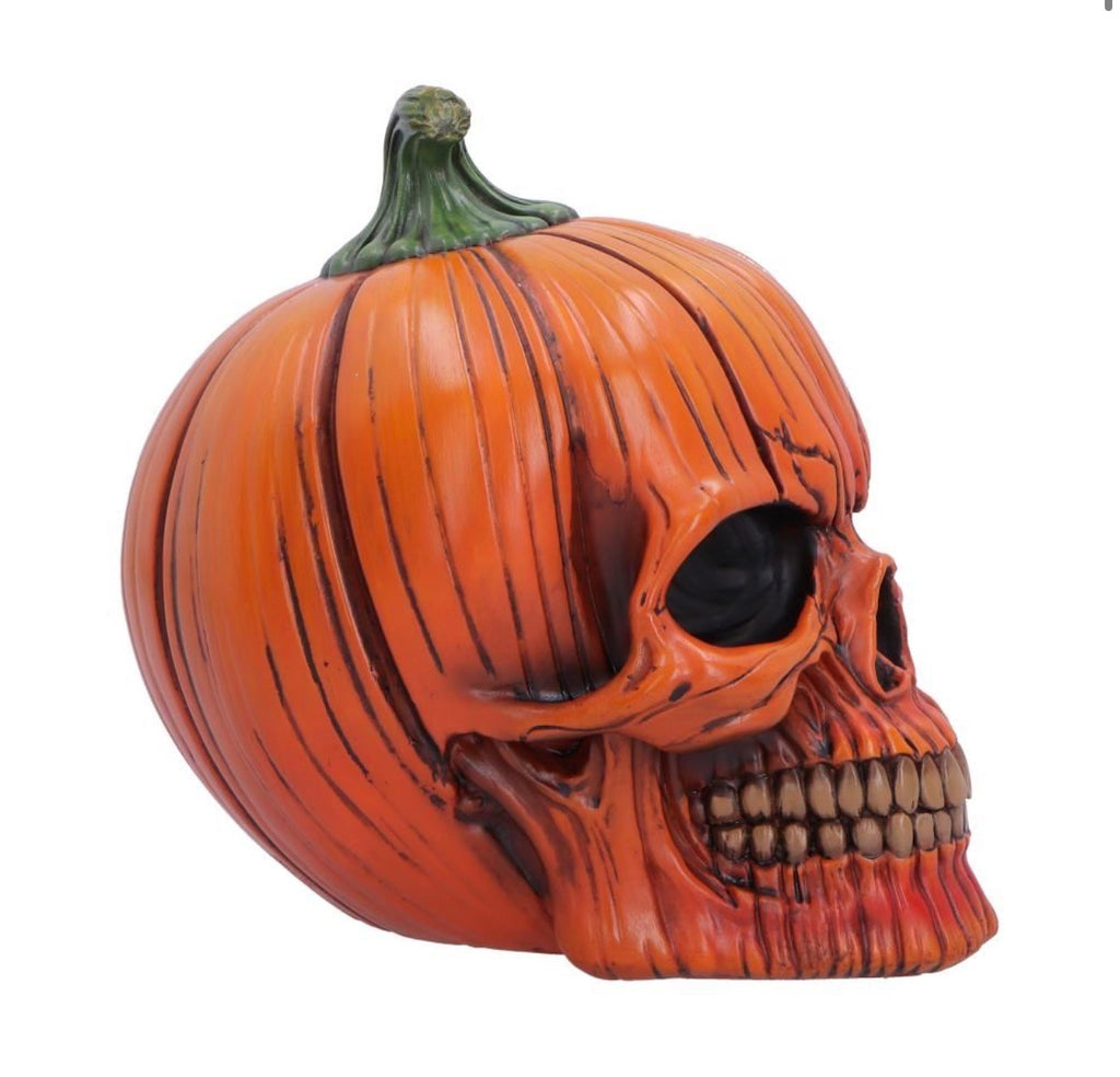 Hall of Horrors: Spirit Of Halloween Pumpkin Skull 17.5cm