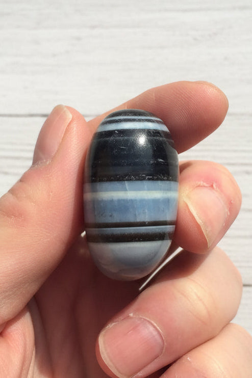 Owyhee Blue Opal Palmstone 63 grams BOP06