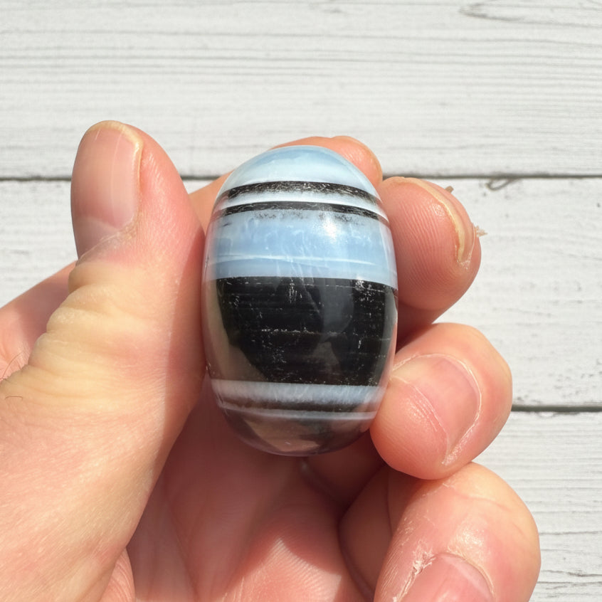 Owyhee Blue Opal Palmstone 74 grams BOP13