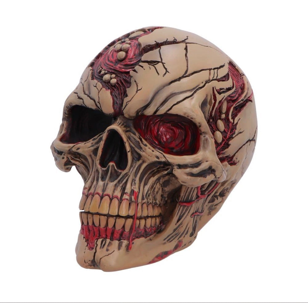 Hall of Horrors: The Walker of Death Zombie Skull 15.5cm
