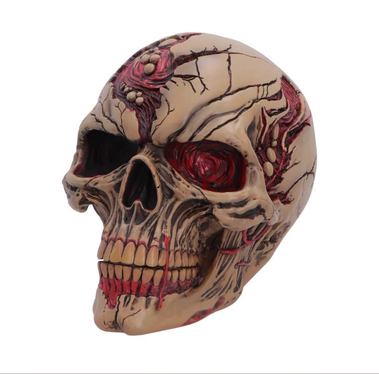 Hall of Horrors: The Walker of Death Zombie Skull 15.5cm