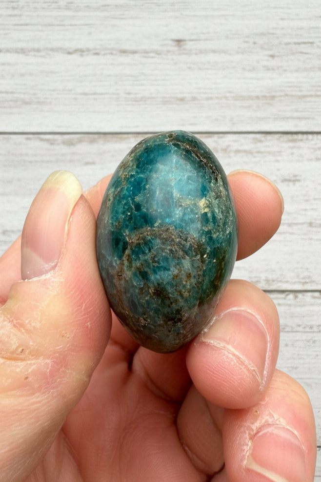 Blue Apatite Palmstone 72 grams NBAP14