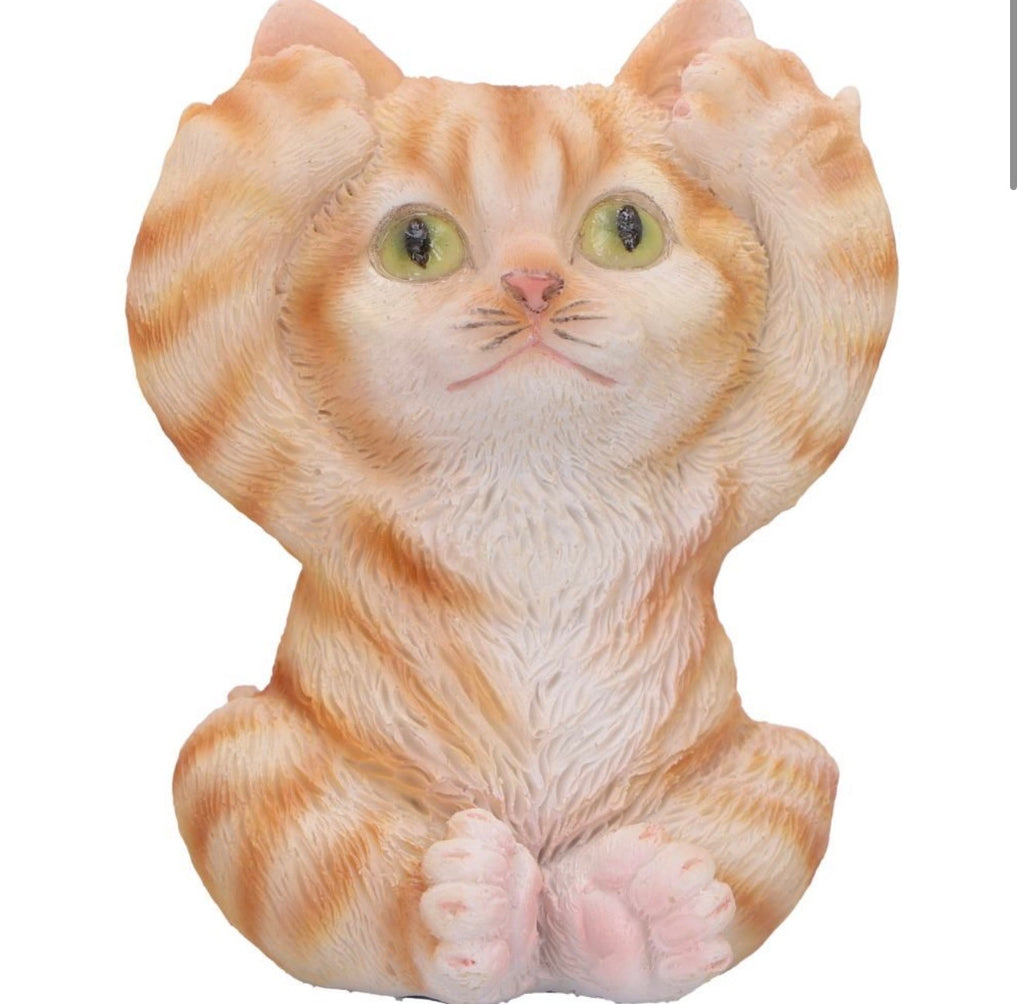 Three Wise Ginger Cats See No Evil Set 8.5cm