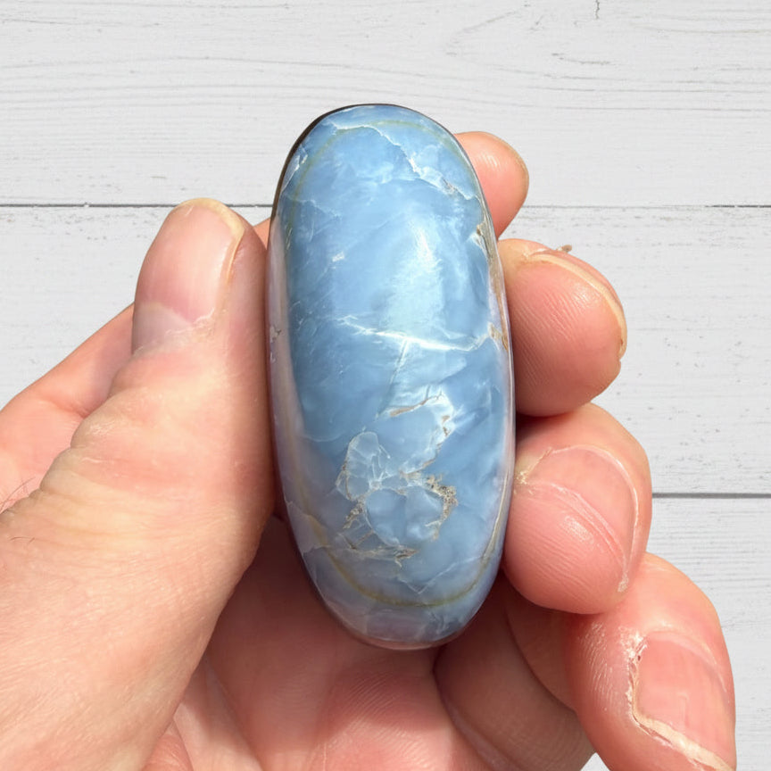 Owyhee Blue Opal Palmstone 75 grams BOP08