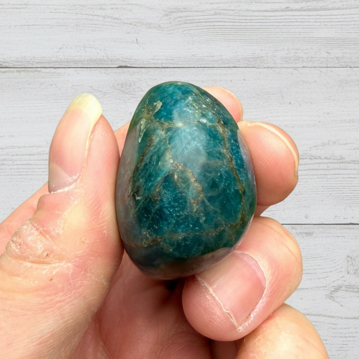 Blue Apatite Palmstone 80 grams NBAP10