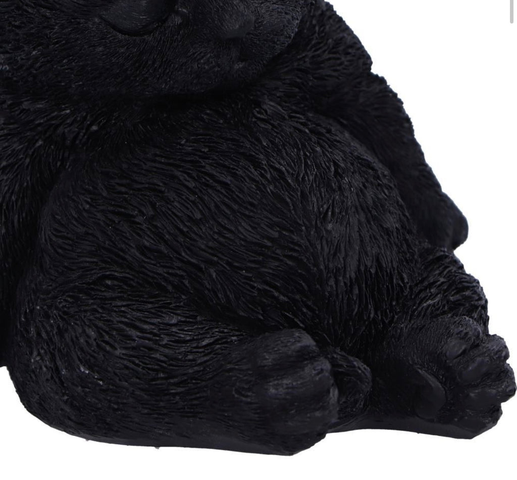 Daydream Sleeping Black Cat Ornament 13cm