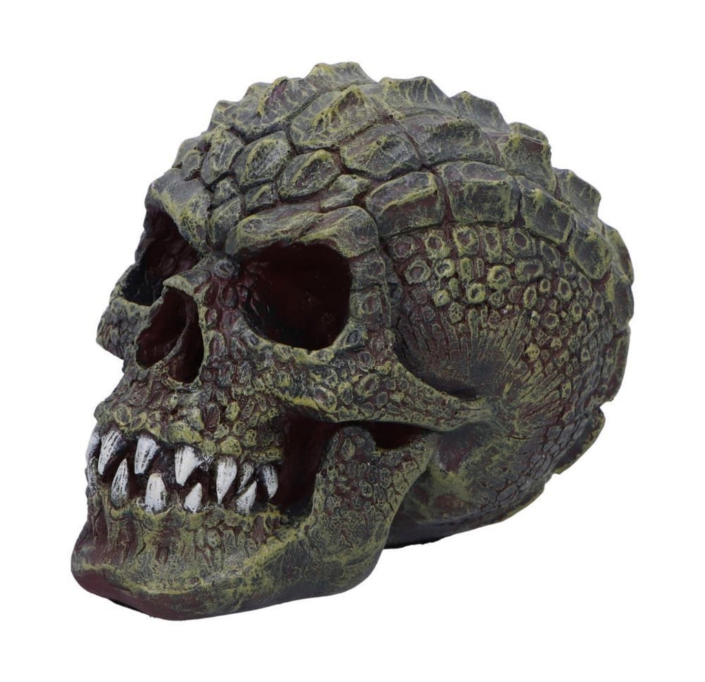 Reptilian Skull 17cm