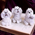 Three Wise Westies See No Evil Set 8cm