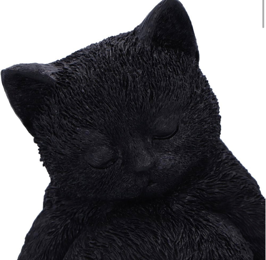 Daydream Sleeping Black Cat Ornament 13cm