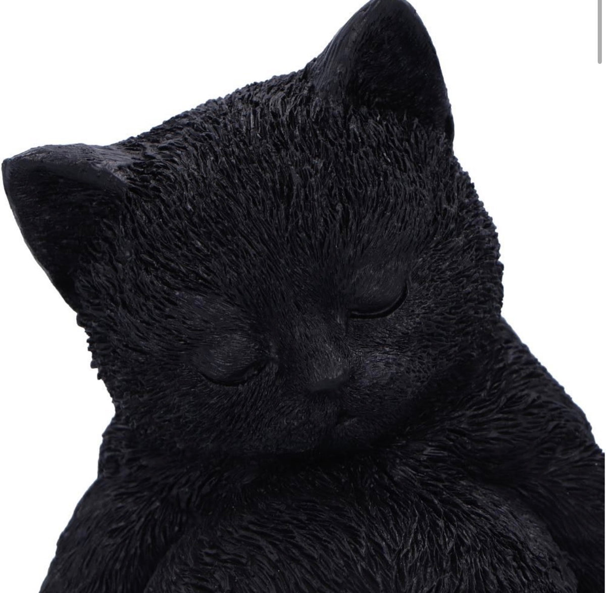 Daydream Sleeping Black Cat Ornament 13cm
