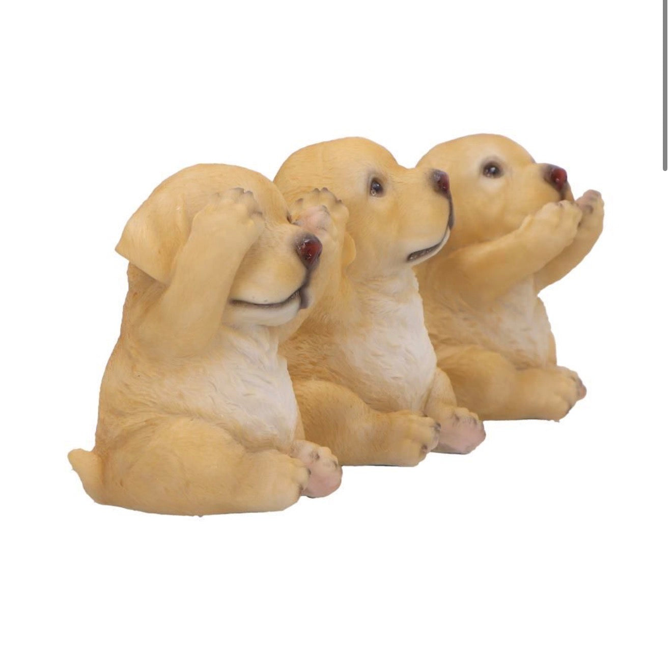 Three Wise Golden Labradors See No Evil Set 7.5cm