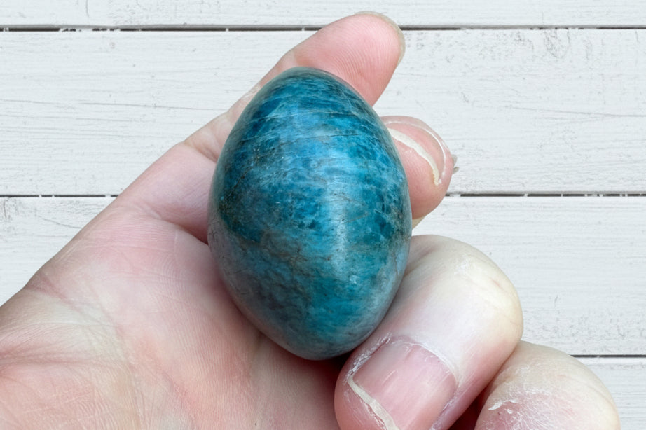 Blue Apatite Palmstone 98 grams NBAP06