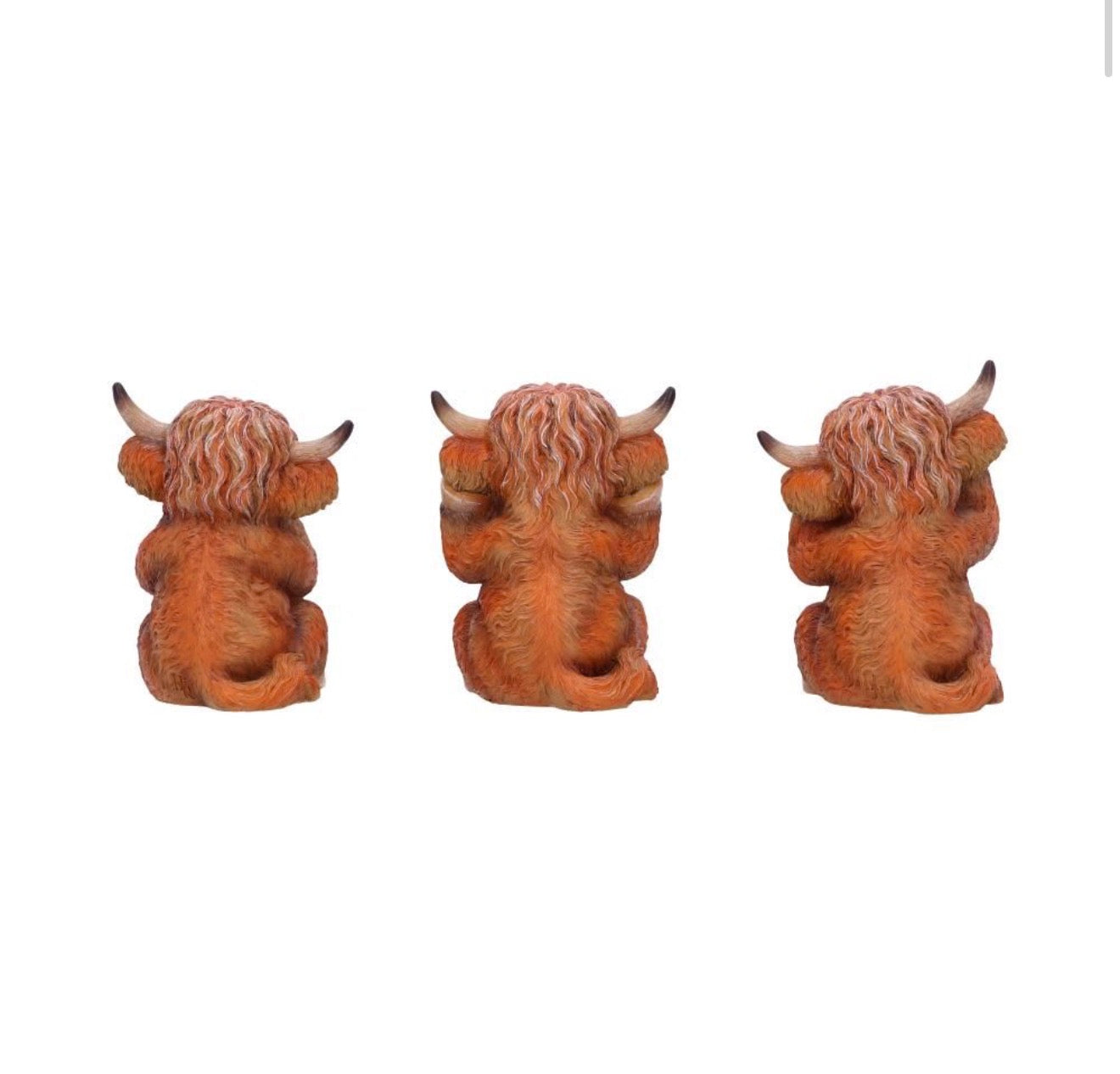 Three Wise highland Cows set of 3 9.6cm