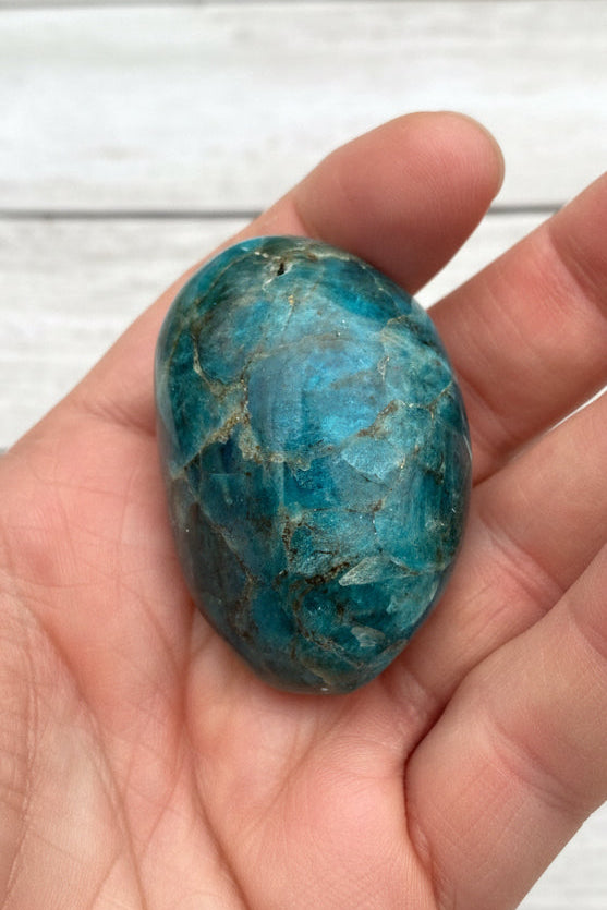 Blue Apatite Palmstone 78 grams NBAP11