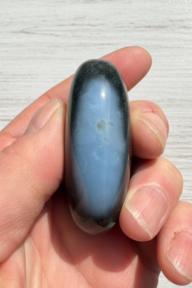 Owyhee Blue Opal Palmstone 83 grams BOP03