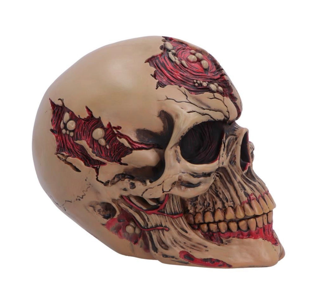 Hall of Horrors: The Walker of Death Zombie Skull 15.5cm