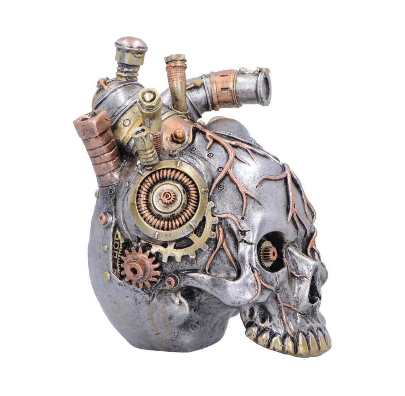 Cardiac Cranium Steampunk Skull 17.5cm