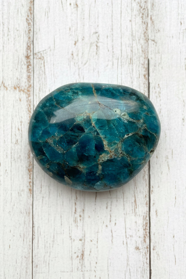 Blue Apatite Palmstone 78 grams NBAP11