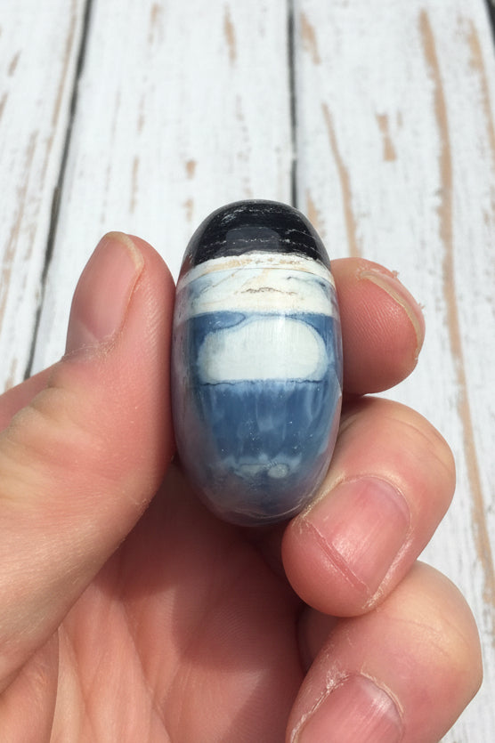 Owyhee Blue Opal Palmstone 74 grams BOP09