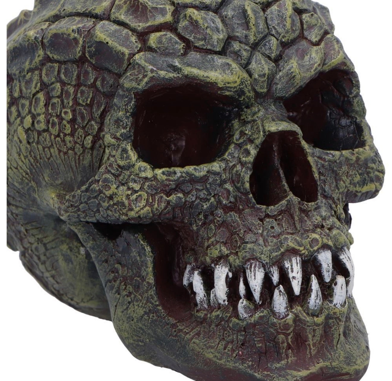Reptilian Skull 17cm