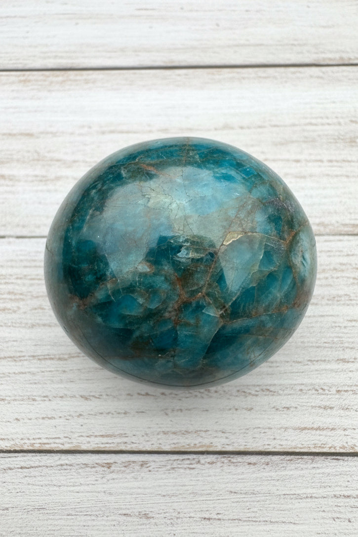 Blue Apatite Palmstone 83 grams NBAP13