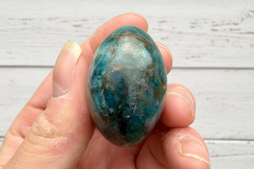 Blue Apatite Palmstone 83 grams NBAP13