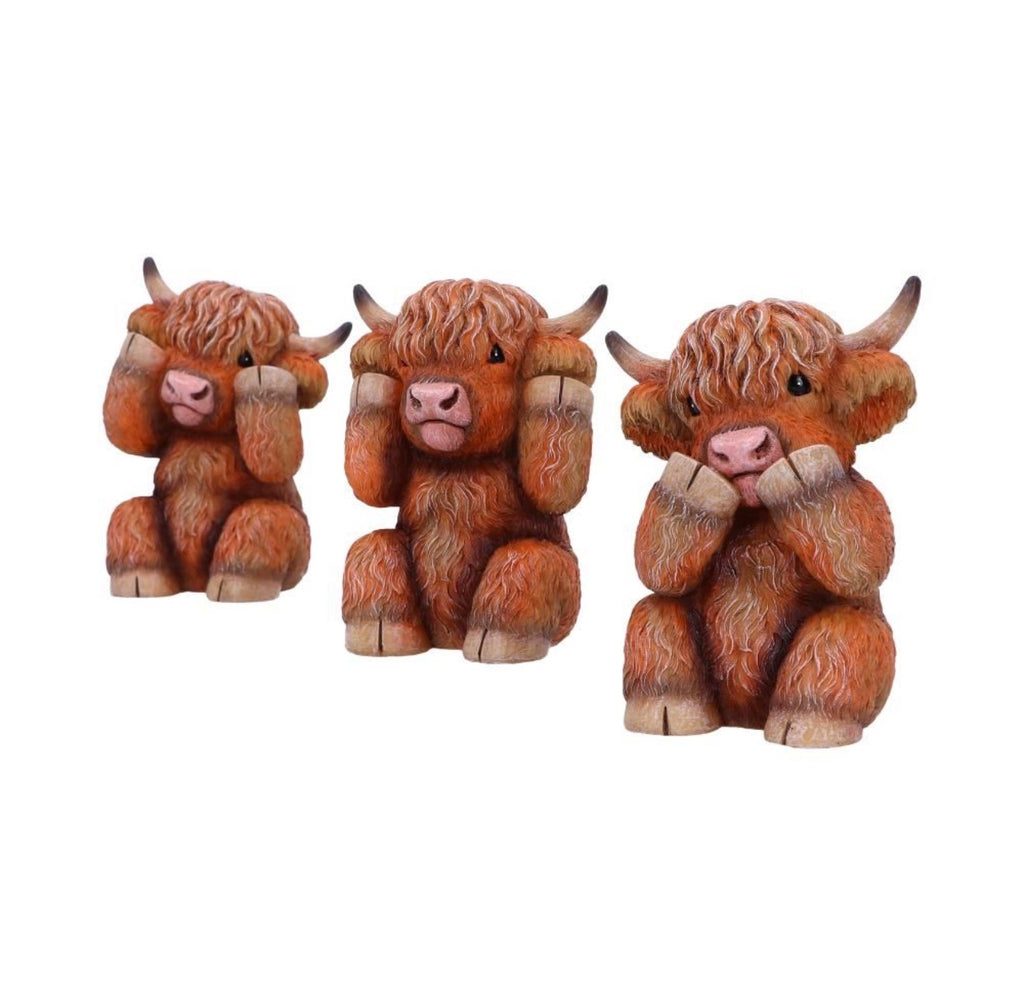 Three Wise highland Cows set of 3 9.6cm