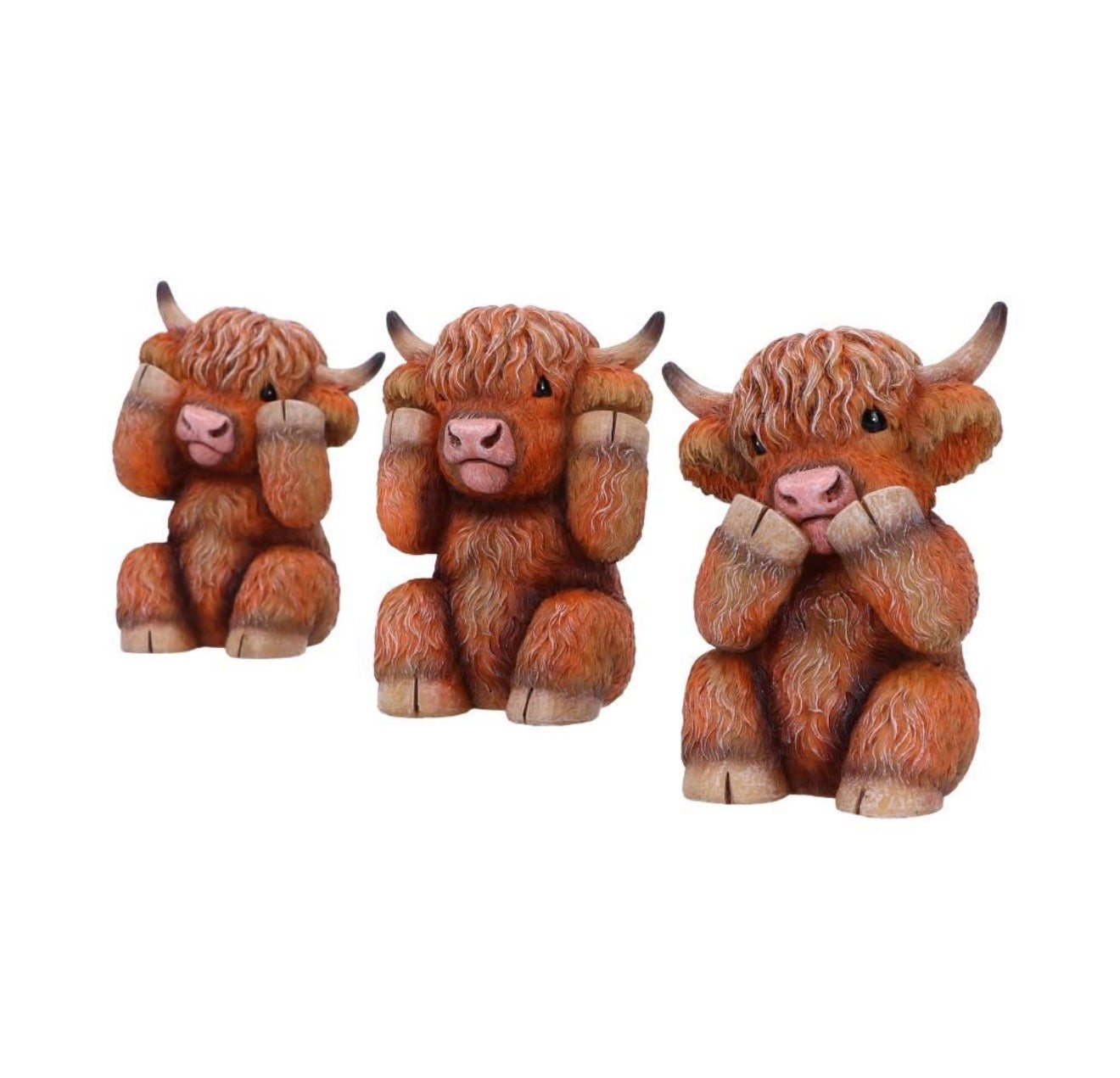 Three Wise highland Cows set of 3 9.6cm
