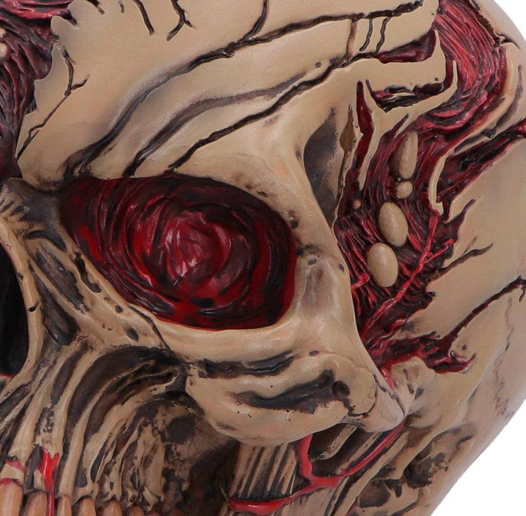 Hall of Horrors: The Walker of Death Zombie Skull 15.5cm