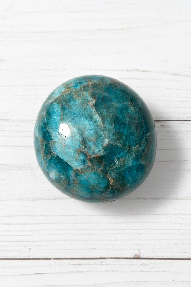 Blue Apatite Palmstone 83 grams NBAP13