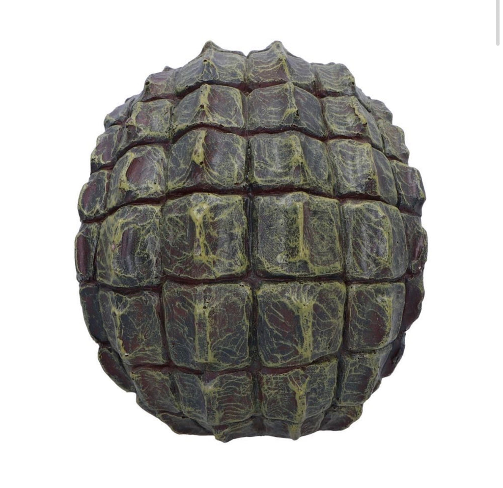Reptilian Skull 17cm